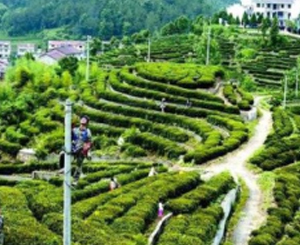 萬州區(qū)城農網改造升級工程2016年度第五批工程一標段/三標段